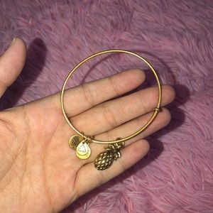 pineapple alex and ani